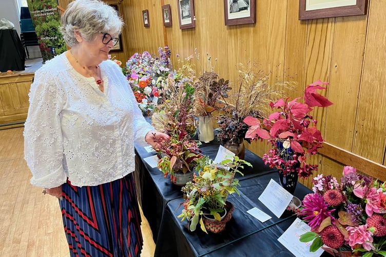 Frensham & Dockenfield Horticultural Society autumn show, September 2025.