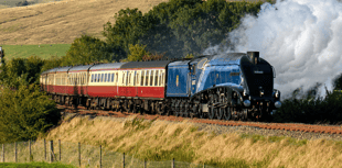 Get up close to iconic steam locomotive at the Watercress Line
