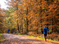 Autumn colours set to dazzle in the South Downs National Park