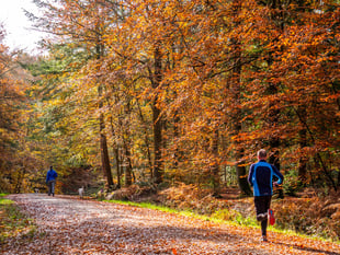 Autumn colours set to dazzle in the South Downs National Park