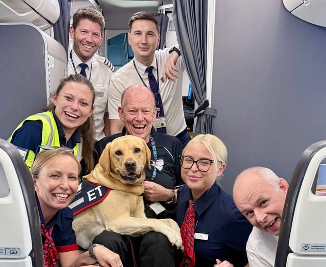 Hola Hounds for Heroes as assistance dog makes 100th flight