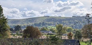 Paraglider rescued from tree at South Downs beauty spot