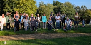 Haslemere Museum's 'Rake Off' promotes biodiversity