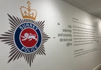 Surrey police sergeant caught hiding pub’s card machine given final warning