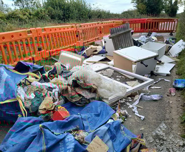 Anger at fly-tippers as lane near Clanfield blocked