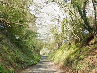 Enforcement action served on Surrey Hills illegal traveller site