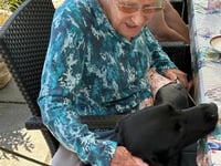 It’s a ‘paw-fect’ dog’s life at one Surrey care home