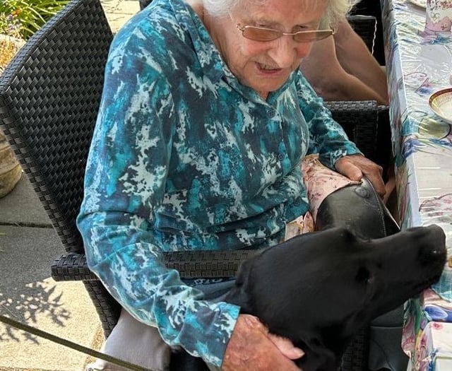 It’s a ‘paw-fect’ dog’s life at one Surrey care home