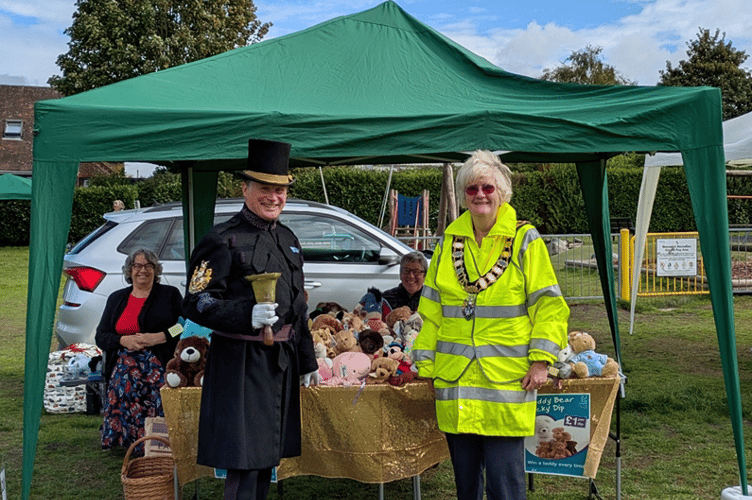Haslemere Town Council mayor Jean arrick
