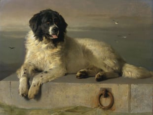 The Arts Society Grayshott explores writers and their animal muses