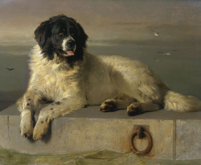 The Arts Society Grayshott explores writers and their animal muses