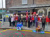 Haslemere aims for record Poppy Appeal