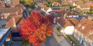 VIDEO: Autumnal Petersfield from above by Big Ladder Photography