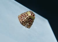 Rare Anglo-Saxon treasure to go on display after community campaign