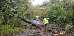 Storm Benjamin hits as tree fall blocks Stoner Hill near Petersfield