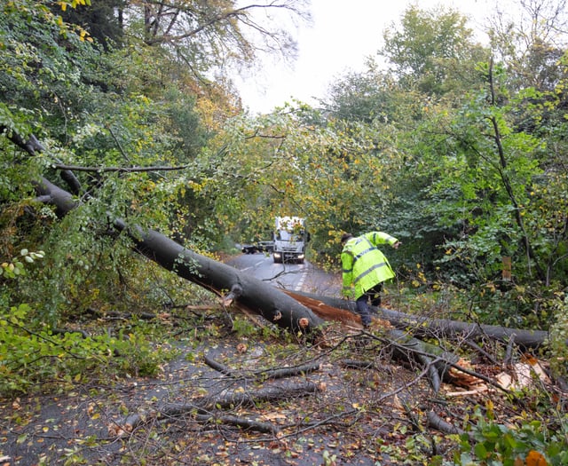 Storm Benjamin hits as tree fall blocks Stoner Hill near Petersfield