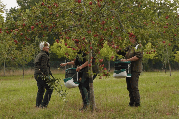 Farmers across Surrey have seen their crop yields impacted by climate change.