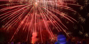 Haslemere Museum's biggest fundraiser goes off with a bang