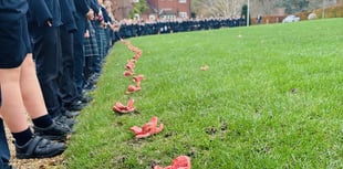 Highfield's Remembrance Day Tribute