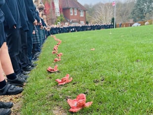 Highfield's Remembrance Day Tribute
