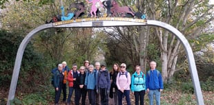 Hampshire and Surrey clubs and societies news