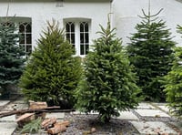 Charity's early Christmas gift from Rake Garden Centre