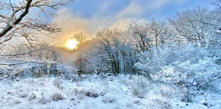 Dream of a white Christmas denied in Surrey and Hampshire