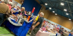 Rosemary Foundation on cloud 9,000 after record-breaking market