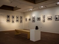 Half-price tickets this December at Petersfield Museum and Art Gallery