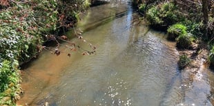 Importance of local chalk streams and rivers recognised by council