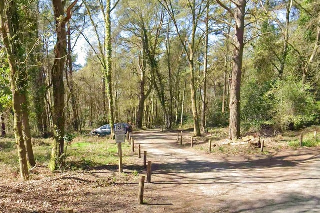 Man exposes himself to woman at beauty spot near Liphook