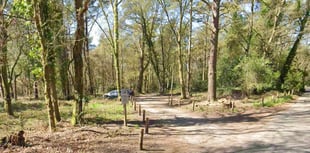 Man exposes himself to woman at beauty spot near Liphook