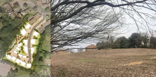 Liss field earmarked for 30 homes - but with no affordable housing