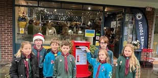 Fernhurst scouts deliver a first-class Christmas