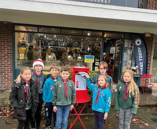 Fernhurst scouts deliver a first-class Christmas