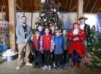 Crowning achievement as Buriton Treefest raises £2k for RBL