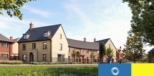 New Year, New Home at Nut Tree View