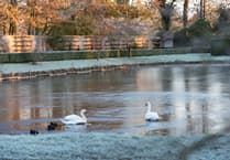 The Art Society Grayshott explores Britain's historic canals