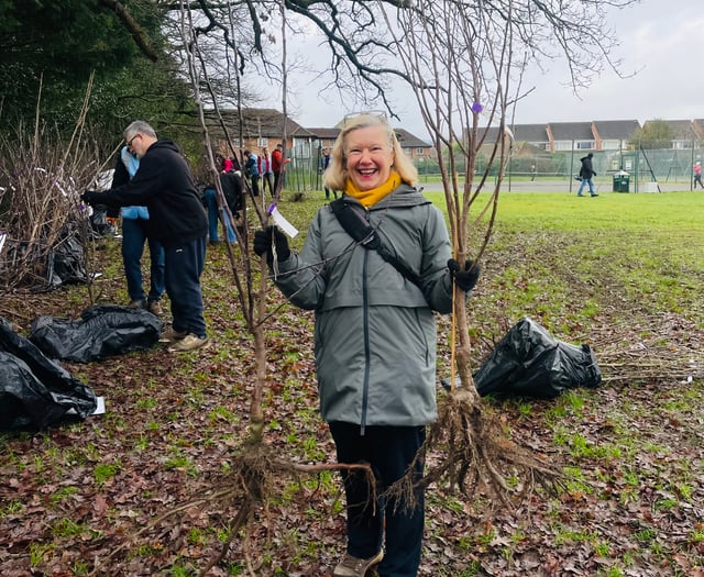 Tree buyers dig the fun at Petersfield's "Green Gathering"