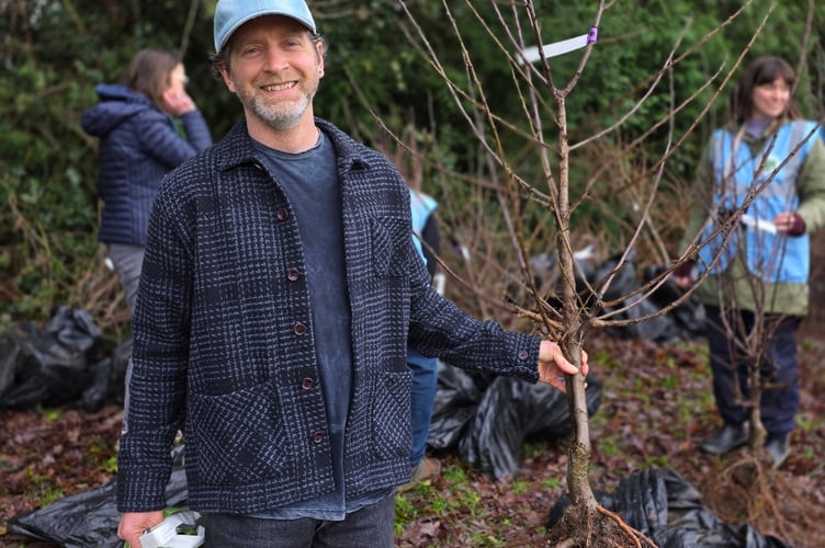 Tree collector PeCAN Avenue Petersfield