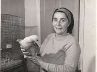 Remembering East Hampshire wildlife enthusiast Molly Burkett MBE