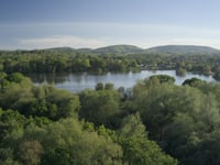 The long read: A blueprint for the future of the South Downs