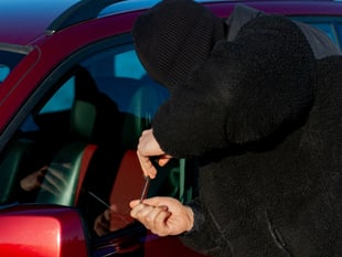 Vehicle criminals on the prowl