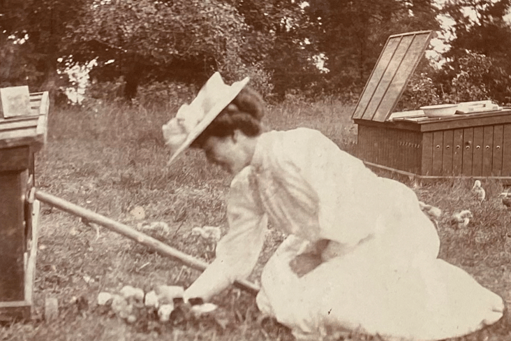 A woman picks posies at Frensham Hill.