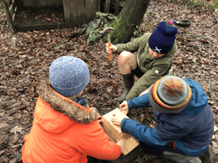 Bird boxes take flight at Camelsdale School
