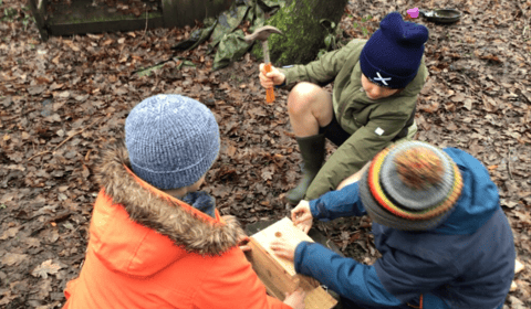 Bird boxes take flight at Camelsdale School