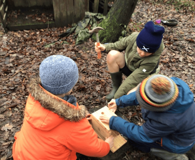 Bird boxes take flight at Camelsdale School