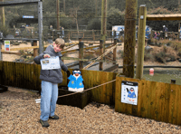 Half-term boost for Birdworld as visitor numbers rise 70 percent
