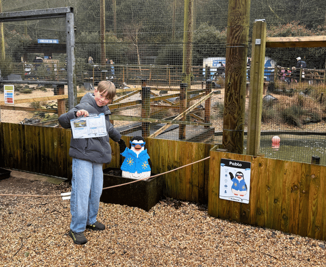 Half-term boost for Birdworld as visitor numbers rise 70 percent