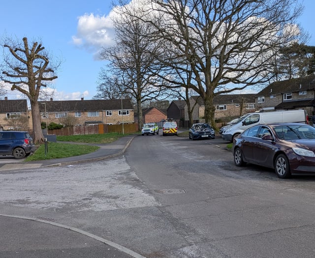 Reports of aggravated burglary on Bordon road